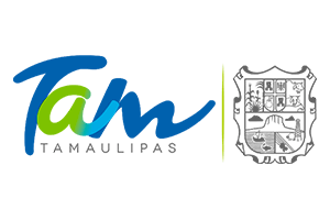 Cliente: Gobierno Tamaulipas